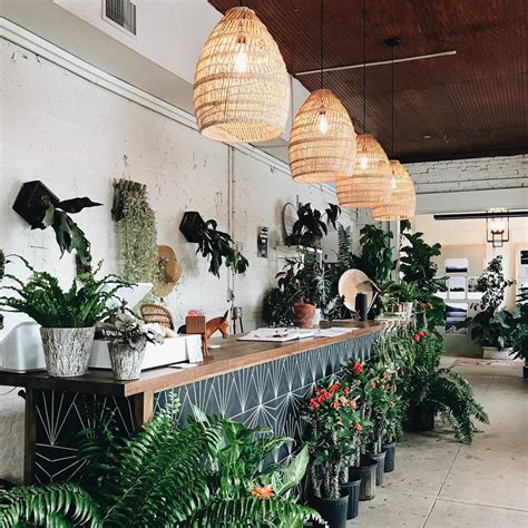 The plant shop - The Plant Lady: SF is a fully licensed plant shop in the heart of the Ingleside District of San Francisco. All our plants are handpicked locally and we try to feature local artisans and environmentally friendly lifestyle products as well. We strive to bring you beautiful, unique, and top-quality houseplants so that you can grow your urban ...